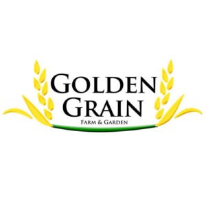 golden-grain